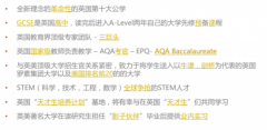 Level阶段的精英教学之路