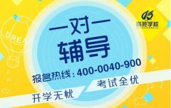 大连科苑1对1辅导现状分析