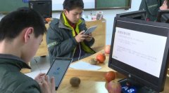 南京师范大学附属中学树人学校：教育的力量，以优美的姿态生长
