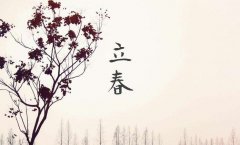 一年之计在于春，立春诗话知多少？