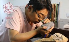 武汉“石头迷”大学生捡到新物种化石，写论文发表在国际期刊