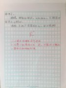 小学生作文吐槽手机夺走母爱 职场妈妈遭遇两难