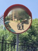 上海阿婆18年前在草丛里捡回来的“小黑孩”，现在要上大学啦！