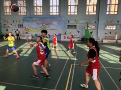经济开发区宁远镇小学中心校参加鞍山市小学生篮球联赛