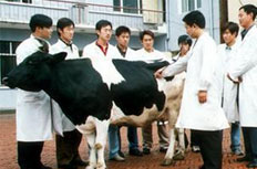 男生学什么专业好
