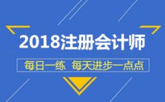 2018年注册会计师考试《公司战略》每日一练(7-04)