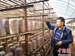 河北平山扶贫记：让山里娃尽享奥尔夫音乐教育