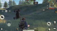 荒野行动队友名字有皇冠什么意思