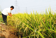 谋划改革新局南开大学召开2018年全校人才工作会议