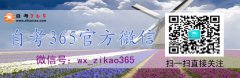 意识的本质是什么呢