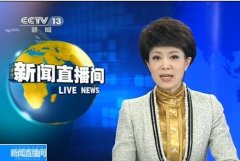 央视主播文静卖萌引疯传 档案家庭背景揭秘(图)