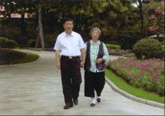 <b>尊老敬贤，总书记情意浓浓</b>