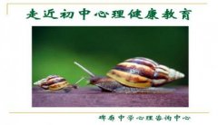 中学生心理健康教育PPT课件下载