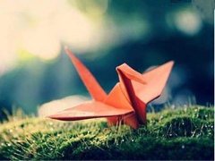 各高校金融专硕考研学费汇总，竟然还有免费的！