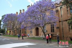 世界大学专业排名出炉 护理学成澳优势学科
