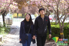 高校“学霸情侣”约定考不上研究生就分手！后考上同校同专业