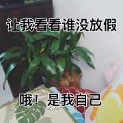 小长假第二天，这些景区堵爆了！第一波出去旅游的人已经后悔了……