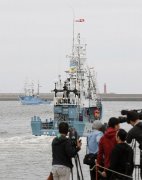 日本时隔31年重启商业捕鲸 今年限额为227头