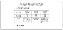 2019广西教师招聘考试面试说课：细胞内外物质的交换 说课稿