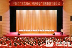平阳县委书记董智武：结合平阳实际 高标准高质量开展好主题教育