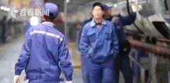 视频｜新春走基层｜机器人“医生”检修动车组助力春运