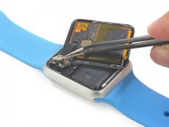 從AppleWatch拆解看iPhone�iPad未來【2】