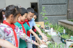 9月起中小学生要学煮饭、种菜、修家电 来听家长怎么说