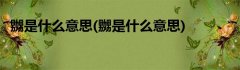 嬲是什么意思(嬲是什么意思)