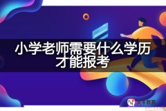 小学老师需要什么学历才能报考？