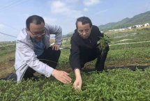 比利時夫妻45年收藏2500件大熊貓紀念品四川展出