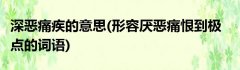 深恶痛疾的意思(形容厌恶痛恨到极点的词语)