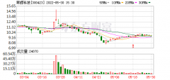 两次重组折戟后瞄准同行 鲁亿通出价20亿欲吞�N辉电子