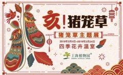 2019上海植物园猪笼草主题展攻略