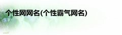 个性网网名(个性霸气网名)