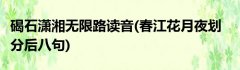 碣石潇湘无限路读音(春江花月夜划分后八句)