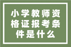 小学教师资格证报考条件是什么？