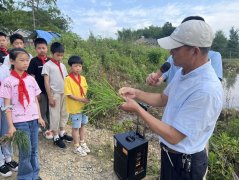 广德市杨滩镇中心小学：下田插秧，体验田间里的课堂