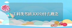 工科类考研300分什么概念