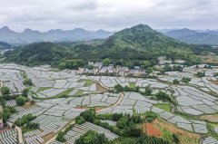 習近平關心關懷勞動者的故事