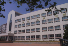 青岛市小学排名一览表,2022年青岛市最好的小学排名