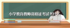 小学教育教师资格证考试考什么