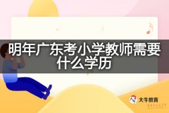 明年广东考小学教师需要什么学历？