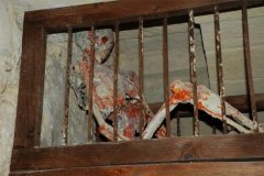 欧洲中世纪血腥酷刑什么样？(组图)
