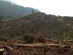 请求会同县领导多关注一下偏远山区的反腐扫黑除恶问题