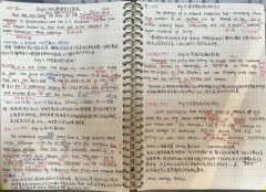 考研到底难不难985学姐总结（考研分哪些阶段）