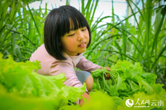 这所乡村小学千名师生三餐自足 还有动植物园