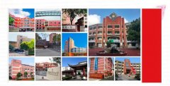 [浦东]进才实验小学教育集团:聚焦“双新” 优化课堂