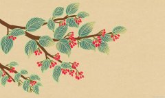 古代茱萸指什么