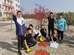 沈阳市沈北新区：“双减”落地促乐学 幸福教育伴成长——“四点发力”打好