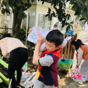 天涯石小学创新劳动教育教学 为学生全面成长蓄力赋能